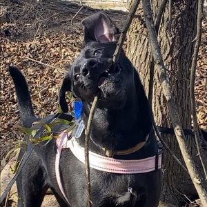 Meet your Posher, Maida